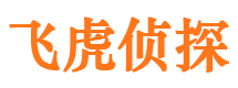 港口侦探公司